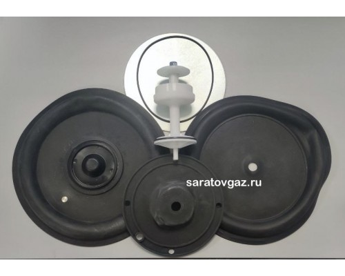 Ремкомплект для регуляторов Dungs FRI