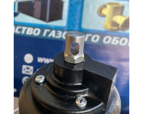 Фильтр газа ФГС-50 Delta 01